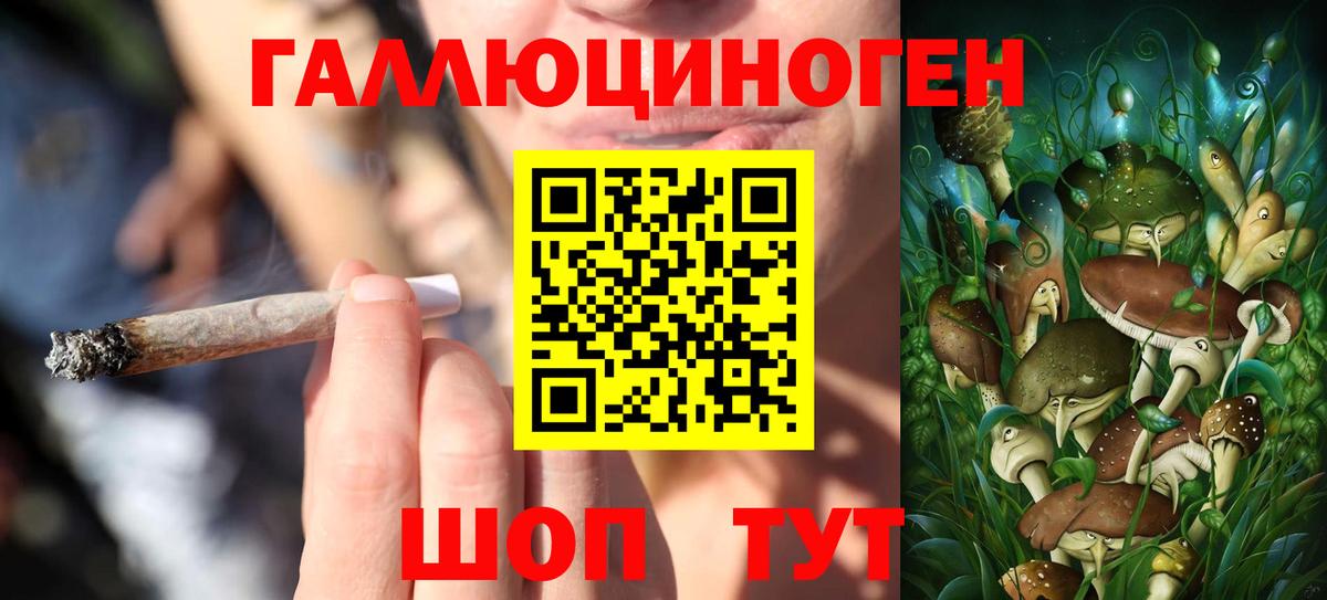Псилоцибиновые грибы Cubensis Волхов